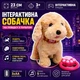 Інтерактивна собачка на повідку з пультом, ходить, повторює голос, лиже язичком, гавкає та співає, 23 см, бежева, 3+ - зображення 2