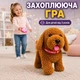 Інтерактивна собачка на повідку з повторенням голосу, ходить, співає, лиже язичком, коричнева, 23 см - зображення 7