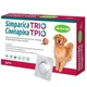Симпарика Трио (Simparica Trio) для собак 20–40 кг — таблетки от блох, клещей и гельминтов, 3 шт., Zoetis - изображение 2
