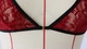 Сексуальный комплект нижнего белья "Red" М Красный - изображение 8