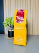 Кава в зернах Caffè Mauro Special Espresso 1 кг - зображення 2