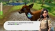 Ключ активации Sophia’s Animal Clinic – Mission Wildlife Park для Xbox One/Series S/X - изображение 10