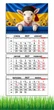 Календарь настенный квартальный на 2027 год на три пружины, Apriori, год Козы, символ года Коза, 29,7х61см ,82 вид - изображение 2