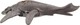 Динозавр Ліоплевродон зі звуком Світ Юрського Періоду Jurassic World Dominion Liopleurodon Dinosaur Mattel (HDX38) - зображення 4