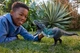 Динозавр Тіранозавр Рекс зі звуком Світ юрського періоду Jurassic World Survival Wild Roar Tyrannosaurus Rex Dinosaur Mattel (JNL64) - изображение 6