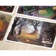 Настільна гра IGAMES Містеріум (Mysterium) (укр) ( 1464 ) - изображение 9