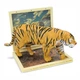 3D Пазл Shantou Анатомия животных Тигр 44 эл (310B-7) - изображение 3