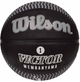 Баскетбольный мяч Wilson NBA Player Icon Outdoor Victor Wembanyama (размер 7) WZ3017801XB7 - изображение 1