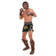 Перчатки боксерские кожаные тренировочные на липучке Fistrage Fight Gear 6458 размер 10 унций Brown - зображення 7