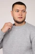 Світшот чоловічий YUKI світло-сірий 50 ЦБ-00279987 - изображение 4