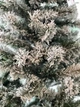 Сосна штучна Black Box Trees Edelman Millington зелена з ефектом покриття снігом 2,15м (8718861279566) - изображение 4