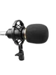 Микрофон инструментальный HL Audio BM-800 - изображение 3
