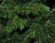 Сосна з памороззю Forest Frosted Pine 230 см зелена - изображение 2