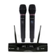 Радиосистема HL Audio DG-2000 - изображение 1
