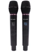 Радиосистема HL Audio DG-2000 - изображение 3