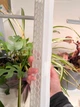 Модульний моховий стовп 00829 - зображення 7