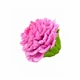 Силиконовый молд Гвоздика 1 EXTRA SOFT - изображение 2