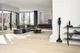 Акумуляторний пилосос Miele SWDL0 36 TRIFLEX HX3 Plus Aqua - зображення 3