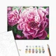 Картина по номерам Brushme Роскошный пион 40x50 см BS4667 - изображение 2