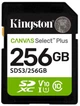 Карта памяти KINGSTON 256GB SDXC Canvas Select Plus Gen3 (SDS3/256GB) - изображение 1
