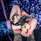 Брелок Sturm Mil-Tec Teddy Pilot Key Ring Multi - изображение 13