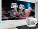 Проектор Zenwire PrimeView IMC460 Pro (1232160) EU - изображение 3