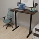 Стіл Mealux PowerDesk Lite Antique з електрорегулюванням висоти (арт. EVO-201 Lite Antique/B) - зображення 2