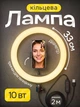Кільцева світлодіодна LED лампа 33 см Ring Light LJJ-33 професійне кольцеве селфі світло для візажиста б'юті-майстра блогера фотозйомки комплект із гнучким затискачем-тримачем для телефону плавною регуляцією яскравості та 3 режимами колірної температури - зображення 1
