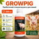 Кормова добавка для свиней GROWPIG Growth Stimulator Добавка для росту свиней 250 мл Пробіотики для свиней - зображення 2