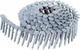 Gwoździe Dewalt 3.05 x 38 mm 1200 szt (DNR3138HDZ) - obraz 2