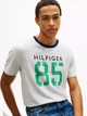 Футболка хлопковая длинная мужская Tommy Hilfiger XM07448-P61(Grey Heather) M Серая с принтом (198928109803) - изображение 5