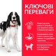Сухий корм Hill's Science Plan Adult Medium для дорослих собак середніх порід з ягням і рисом 14 (кг) - зображення 3