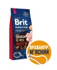 Сухой корм Brit Premium Dog Adult L для взрослых собак крупных пород с мясом курицы 15 кг - изображение 1