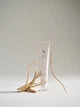 Крем для зони навколо очей Beauty of Joseon Revive Eye Serum Ginseng + Retinal з женьшенем та ретиналєм 30мл - зображення 4