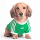 Футболка для собак PET CALI adidas KY8730 (M) зеленый (4069999724591) - изображение 4