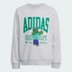 Детский комплект: свитшот и джоггеры ADIDAS MINECRAFT adidas KS9036 (110) серый (4069996692770) - изображение 8