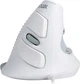 Мышь Delux M618XU USB White - изображение 1