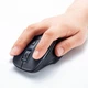 Миша Sanwa Supply WBLC169 на батарейці Wireless Black - зображення 3