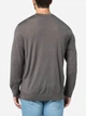 Джемпер мужской Armani Exchange 664892712 M Серый (1161441668) - изображение 2
