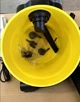 Пылесос хозяйственный Karcher WD 3 1000 Вт 17 л для сухой и влажной уборки с функцией выдува и патронным фильтром Желтый - изображение 10