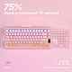 Клавиатура Беспроводная AULA S75 PRO Pink Gradient Игровая Механическая. 2.4G/Bluetooth/Кабель. c Экранчиком. RGB Подсветка. Аккумулятор 4000mAh. Star Vector Linear Switch - изображение 9