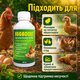 Эффективная добавка в комбикорм для цыплят EggBoost Яйцескость 250 мл Повышение несучести - изображение 8