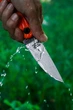 Ніж універсальний туристичний Mikituk knives EDC 1.4116 Осока - изображение 3