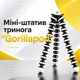 Мини-штатив тренога "Gorillapod" Z-03 - изображение 1