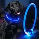 Яркий светодиодный LED ошейник для собак и кошек 70 см (можно укорачивать) с USB-заряд. Видимость до 500м в темноте. Цвет СИНИЙ. - изображение 2