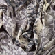 Ткань трикотаж Snake IDEIA 190 гр/м2 150 см, трикотаж для платьев, блузок и вечерней одежды 5258854 - изображение 5