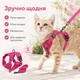 Шлея для котів і малих собак з повідком рожева, розмір S, м’яка регульована зі світловідбивним кантом - зображення 2