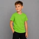 Футболка детская NoBrand Classic Салатовый хлопок однотонная базовая 92 (TSH-BOY-LMN-92) - изображение 1