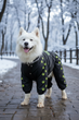 Дощовик для великих порід собак 3XL 56-57cm Самоід Хаскі Лайка Dog's Happiness Чорний Дівчинка 0110-01/20 - изображение 1