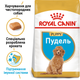 Сухой корм Royal Canin Poodle Puppy – сухой корм для щенков породы Пудель 500 г (R448445) - изображение 2